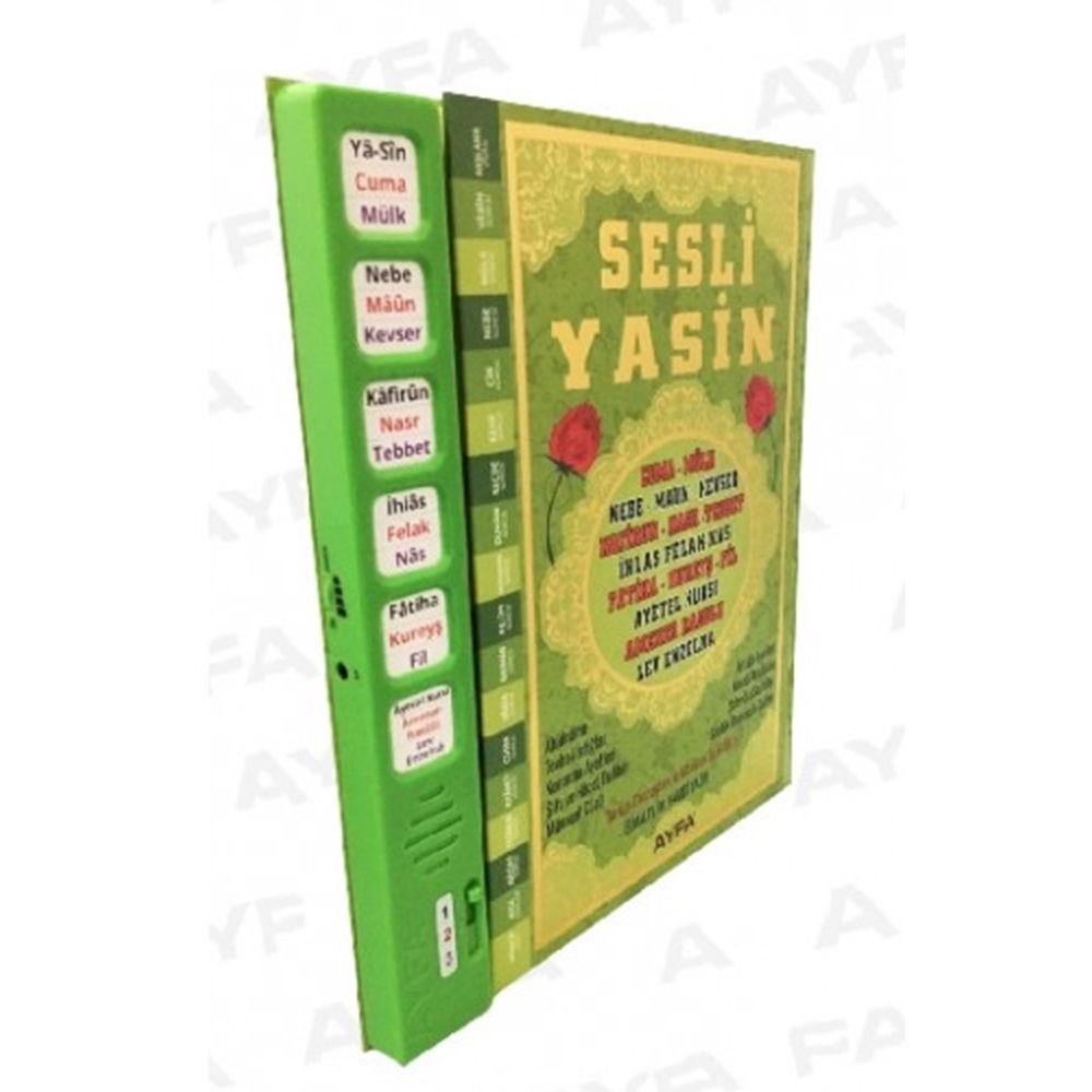 507YESIL-SESLI YASIN-I SERIF