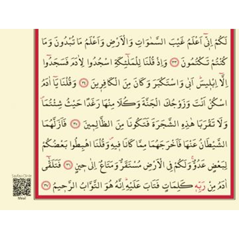 YLD060KIRMIZI-YALDIZLI MÜHÜRLÜ CAMİ BOY KURAN-I KERİM