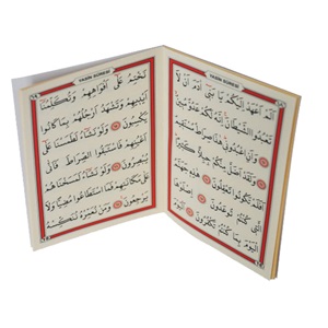 016-MİNİ BOY YASİN-İ ŞERİF-ARAPÇA