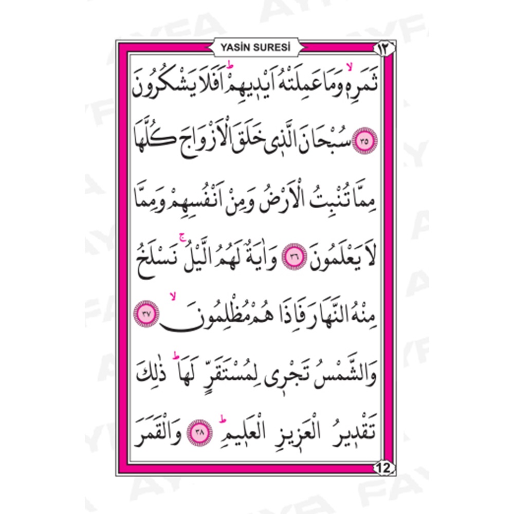 038-CEP BOY YASİN-İ ŞERİF - 3 ÖZELLİKLİ