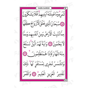 038-CEP BOY YASİN-İ ŞERİF - 3 ÖZELLİKLİ