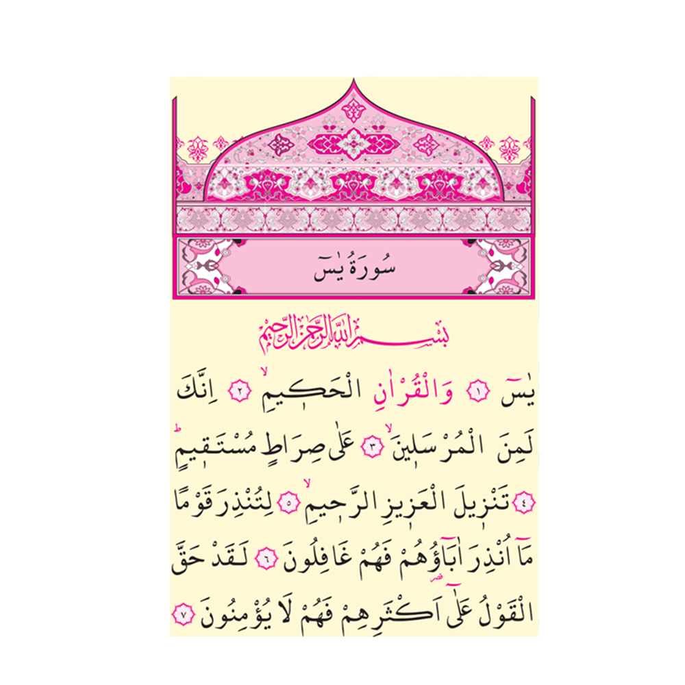 074-CEP BOY NAMAZ TESBIHATI - KARTON KAPAK