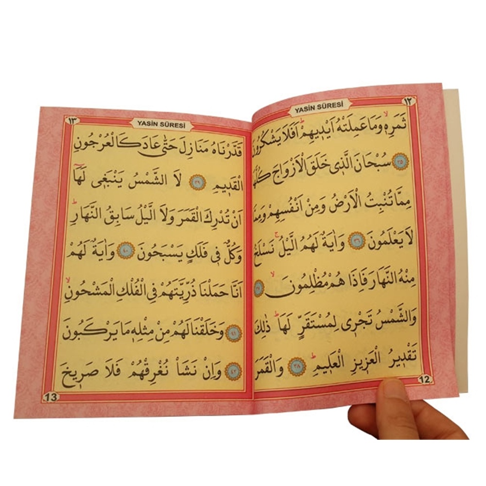245P-KARTON ÇANTALI ÇANTA BOY TÜRKÇELİ 128 SAYFA YASİN-PEMBE
